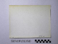 黃則修攝野柳地景藏品圖，第2張