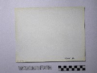 黃則修攝野柳地景藏品圖，第2張