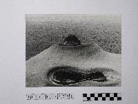 黃則修攝野柳地景藏品圖，第1張