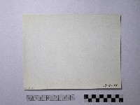 黃則修攝野柳地景藏品圖，第2張