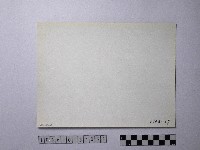 黃則修攝野柳地景藏品圖，第2張