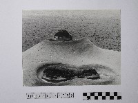 黃則修攝野柳地景藏品圖，第1張