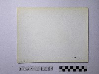 黃則修攝野柳地景藏品圖，第2張