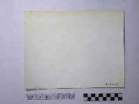 黃則修攝野柳地景藏品圖，第2張