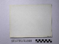 黃則修攝野柳地景藏品圖，第2張