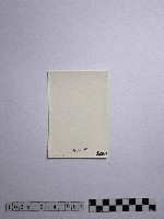 黃則修攝野柳地景藏品圖，第2張