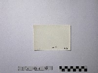 黃則修攝野柳地景藏品圖，第2張