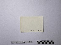 黃則修攝野柳地景藏品圖，第2張