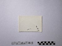 黃則修攝野柳地景藏品圖，第2張