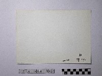 黃則修攝野柳地景藏品圖，第2張