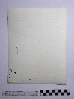 黃則修攝野柳地景藏品圖，第2張