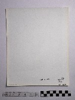 黃則修攝野柳地景藏品圖，第2張