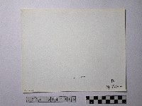 黃則修攝野柳地景藏品圖，第2張