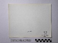 黃則修攝野柳地景藏品圖，第2張