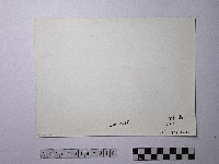 黃則修攝野柳地景藏品圖，第2張