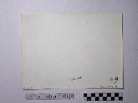 黃則修攝野柳地景藏品圖，第2張