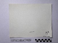 黃則修攝野柳地景藏品圖，第2張