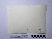 黃則修攝野柳地景藏品圖，第2張