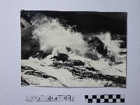 黃則修攝野柳地景藏品圖，第1張