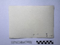 黃則修攝野柳地景藏品圖，第2張