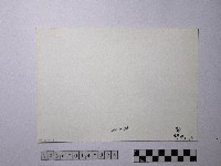 黃則修攝野柳地景藏品圖，第2張