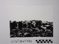 黃則修攝野柳地景藏品圖，第1張