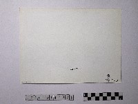 黃則修攝野柳地景藏品圖，第2張