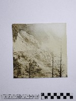 黃則修攝巴士藏品圖，第1張