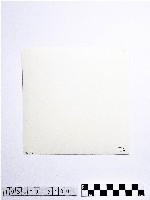 黃則修攝巴士藏品圖，第2張