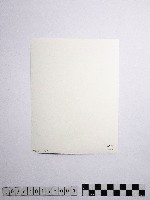 黃則修攝巴士藏品圖，第2張