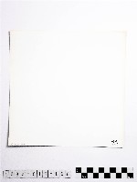 黃則修攝開花的樹木藏品圖，第2張