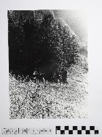 黃則修攝高山風情藏品圖，第1張