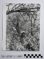 黃則修攝高山風情藏品圖，第1張