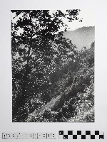 黃則修攝高山風情藏品圖，第1張