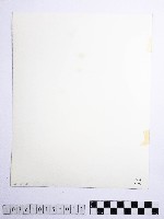 黃則修攝高山風情藏品圖，第2張