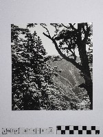 黃則修攝高山風情藏品圖，第1張