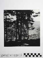 黃則修攝高山風情藏品圖，第1張