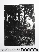 黃則修攝高山風情藏品圖，第1張