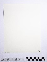 黃則修攝高山風情藏品圖，第2張