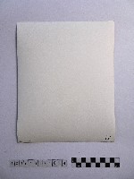 黃則修攝開花的樹木藏品圖，第2張