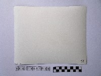 黃則修攝開花的樹木藏品圖，第2張