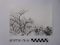 黃則修攝高山風情藏品圖，第1張