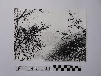 黃則修攝高山風情藏品圖，第1張