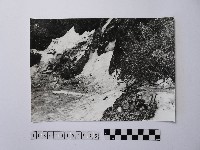 黃則修攝結冰的草地藏品圖，第1張