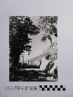 黃則修攝小徑藏品圖，第1張