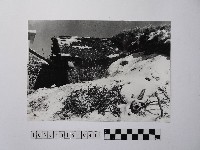 黃則修攝茅草屋與結冰的地面藏品圖，第1張