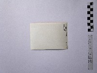 黃則修攝佳陽舊部落藏品圖，第2張