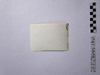 黃則修攝佳陽舊部落藏品圖，第2張