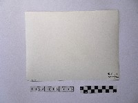 黃則修攝劫後林相藏品圖，第2張