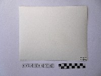 黃則修攝劫後林相藏品圖，第2張